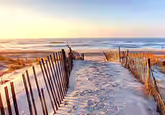 the hamptons black car service